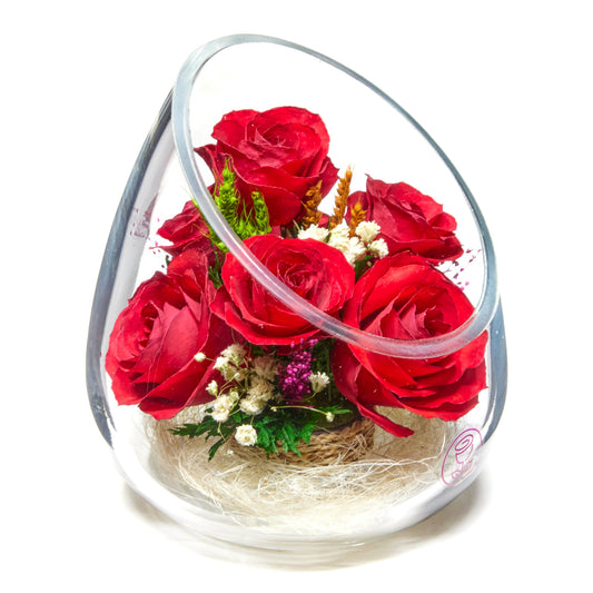 Radiant Reverie Rose Bouquet
