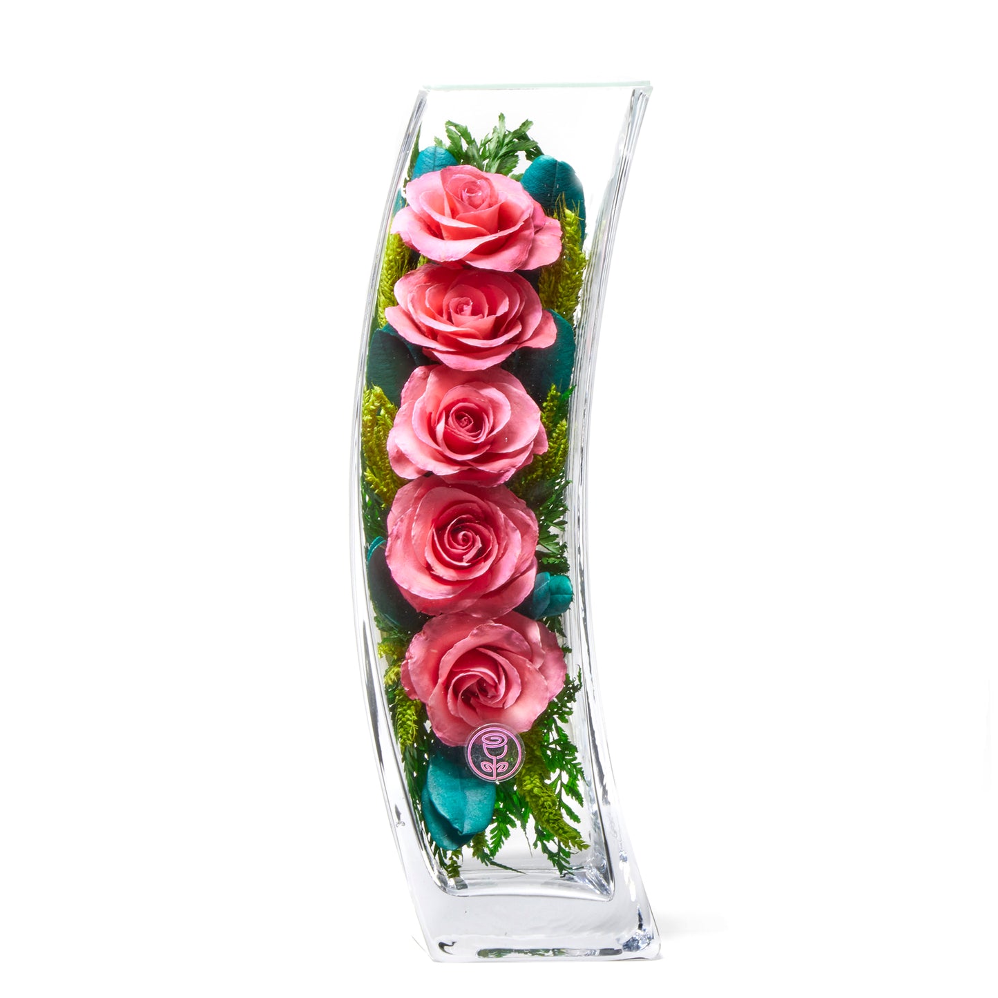 FOMO Love Roses: Petals You Won't Want to Miss Out On